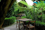 Photos of Casa Felisa