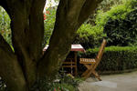 Photos of Casa Felisa