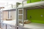 The White Tulip Hostel - Image 3