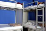 The White Tulip Hostel - Image 5