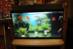 Budget Hostel - Image 3