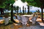 B&B Il Giardino - Image 7