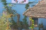 Chacha's Garden - Image 5