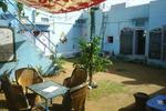 Chacha's Garden - Image 8