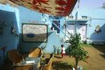 Chacha's Garden - Image 9