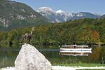 Residence Triglav - Image 3