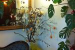 Hotel Ariston Livorno - Image 5