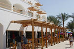 Oonas Dive Club