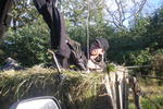 Cobwobs Hostel - Image 2