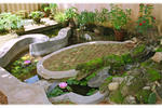 Thomasinn - Image 2