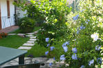 Bed and Breakfast Sunrise - Image 8