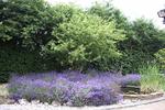Greenways Lodge, Stansted Airport - Image 4