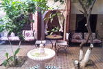Riad Adraoui - Image 3