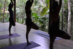 Trindade Sea and Forest Hostel - Image 1