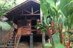 Trindade Sea and Forest Hostel - Image 3