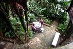 Trindade Sea and Forest Hostel - Image 4