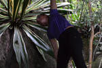 Trindade Sea and Forest Hostel - Image 7