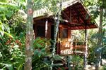 Trindade Sea and Forest Hostel - Image 8