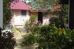Negril Yoga Centre - Image 2