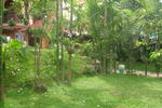 Photos of Jasmine Guest House