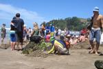 On the Beach Backpackers - Image 4