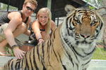 Spicythai Backpackers - Image 8