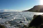 Te Nikau Retreat - Image 2