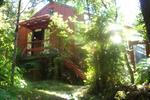 Te Nikau Retreat - Image 4