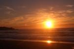 Te Nikau Retreat - Image 6