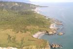 Te Nikau Retreat - Image 7