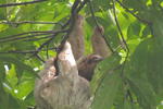 Photos of Hotel Campo Verde