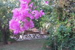 Hotel Gulec - Image 1