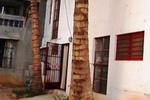 Sumanjay Homestay - Image 2