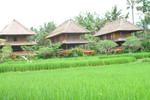 Agung Raka Bungalows