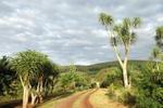 Hluhluwe Backpackers - Image 2