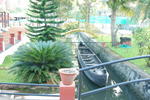 Coconut Creek farm and homestay - Image 2