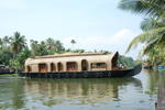Coconut Creek farm and homestay - Image 8