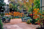 HI - Sacramento - Image 9