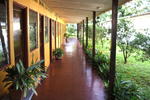 Hotel Guanacaste - Image 4