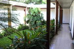 Hotel Guanacaste - Image 5