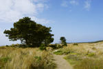 HI - Point Reyes - Image 6