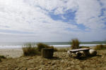 HI - Point Reyes - Image 7
