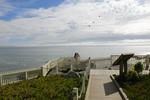 HI - Pigeon Point Lighthouse - Image 2