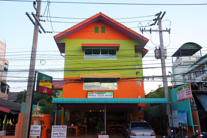Green Tulip House  3