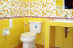 Photos of Green Tulip House