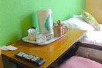 Antigallican Hotel - Image 7