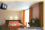Hotel Camelia International