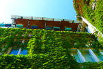 Chillton - Image 5