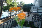 Apartments Lenni - Image 4
