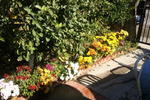 Timen's House - Image 6